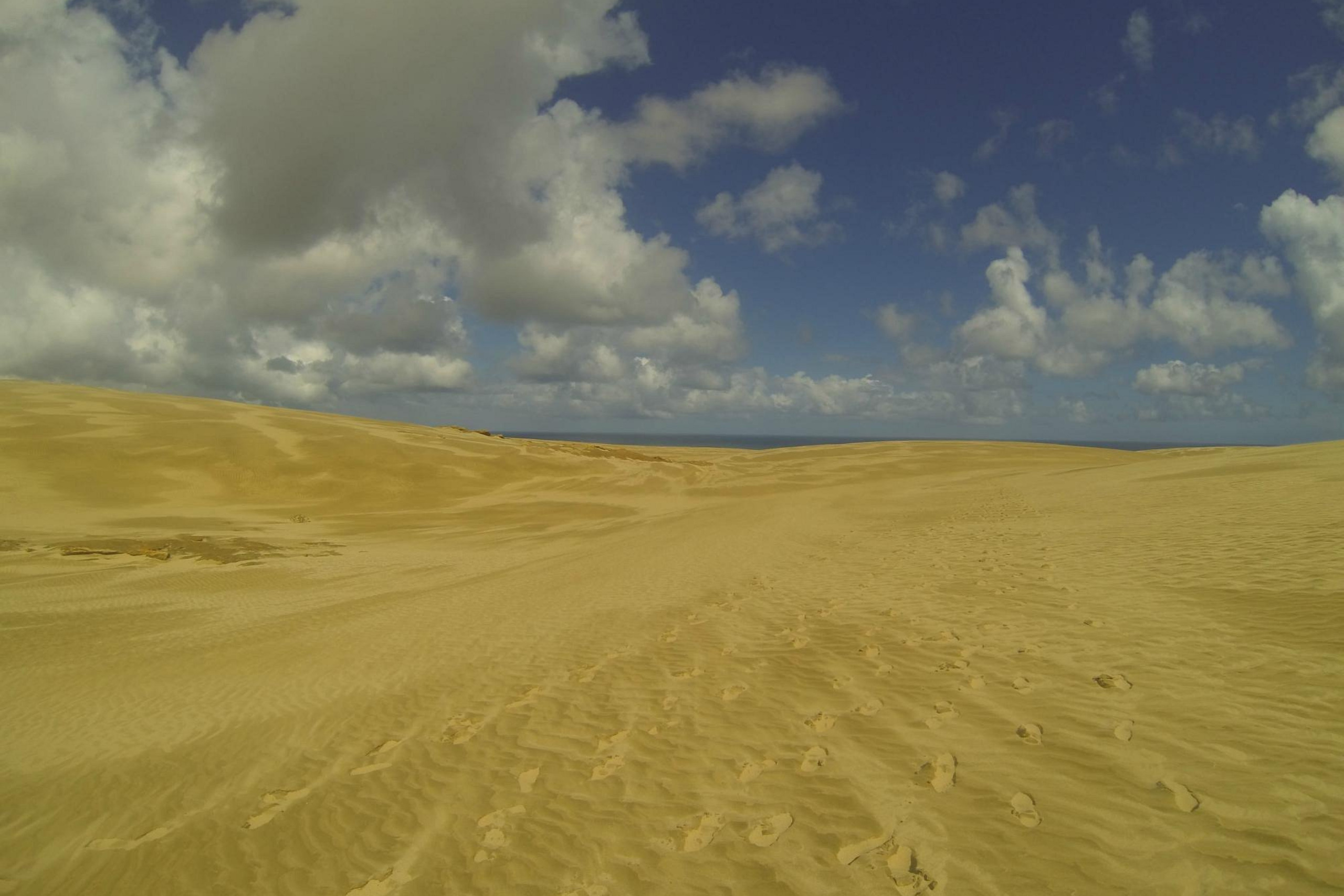 Faire de la luge sur les dunes de sable - nouvelle zélande