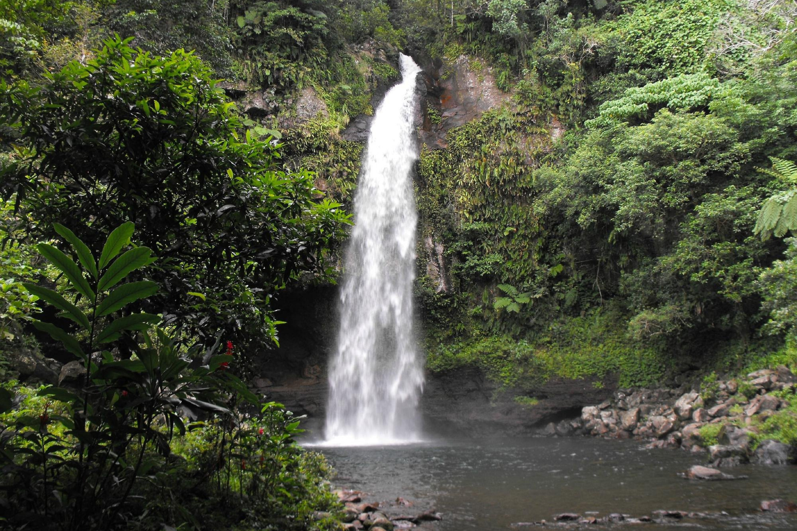 Randonnée jusqu'à la cascade de Tavoro - îles fidji