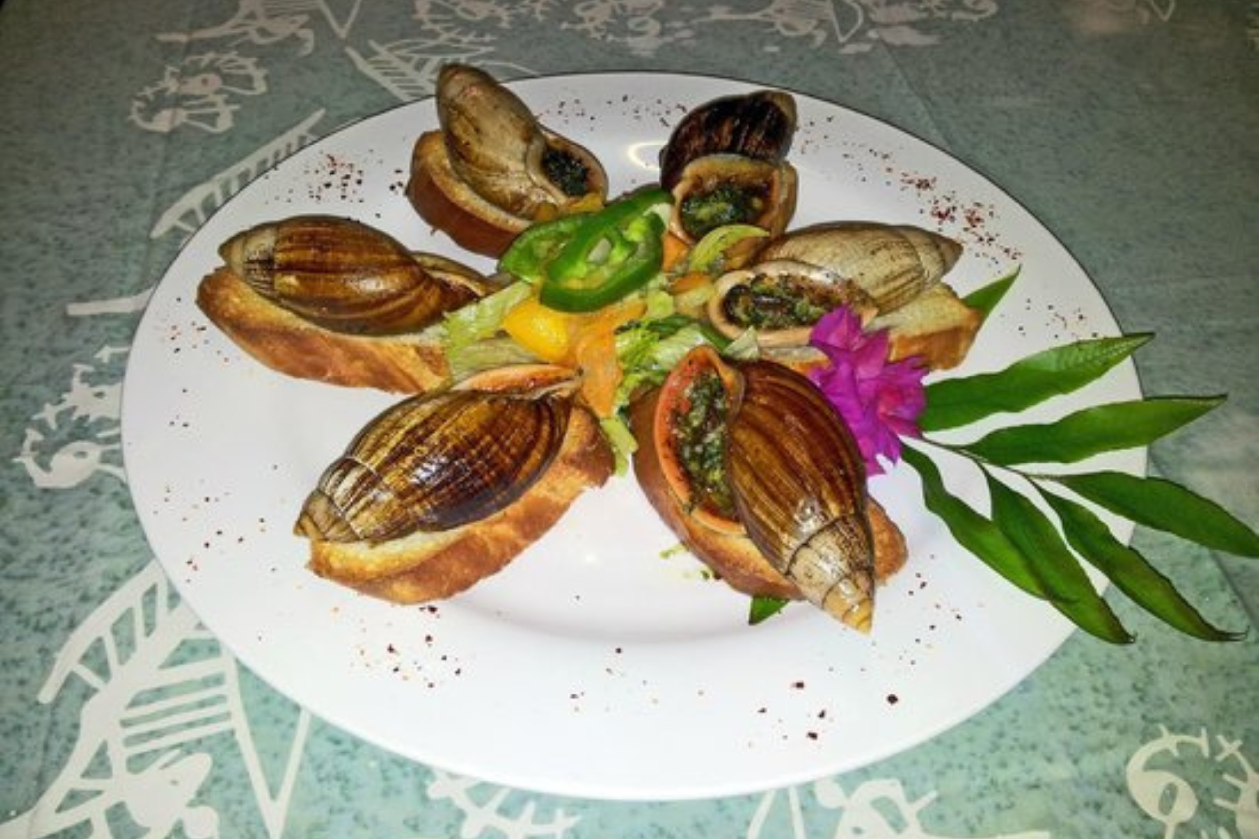 Escargots de Bourail - plats nouvelle calédonie