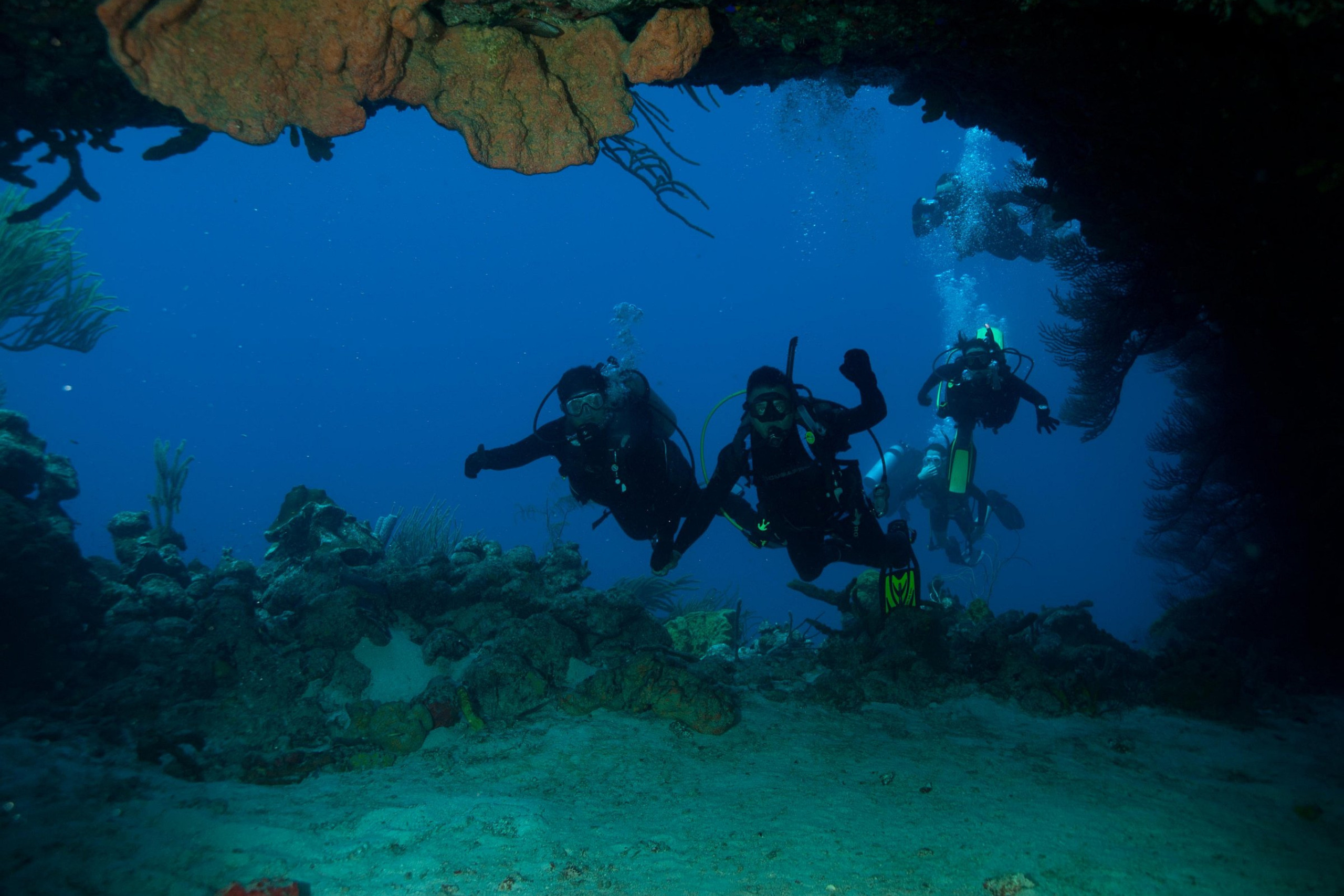 Plongée sous-marine à Los Roques