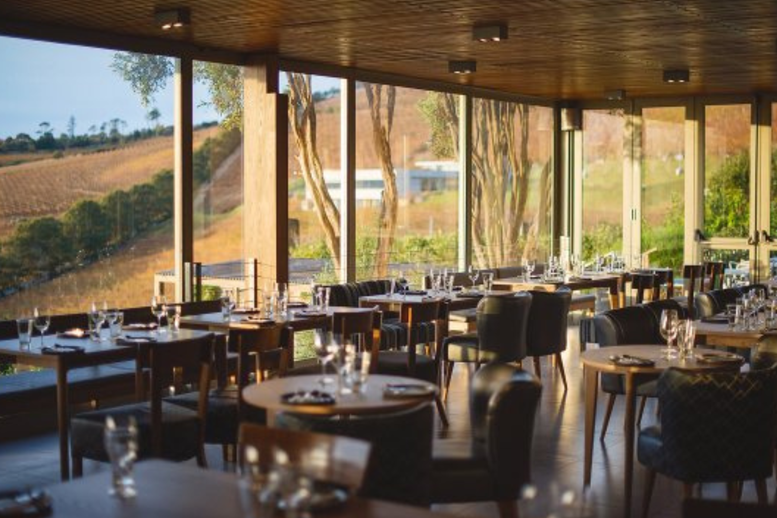 Chef's Warehouse at Beau Constantia