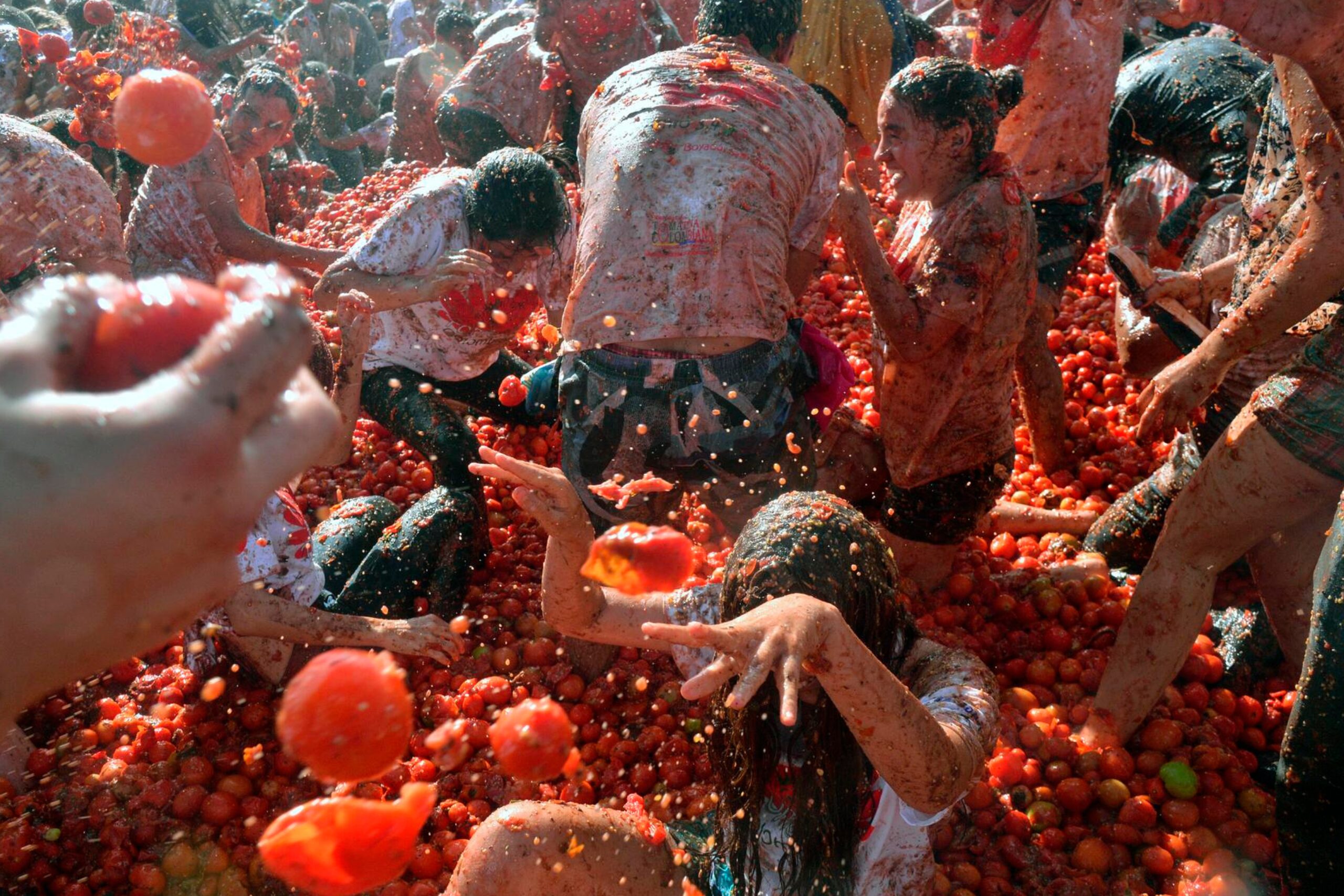 la tomatina - festival